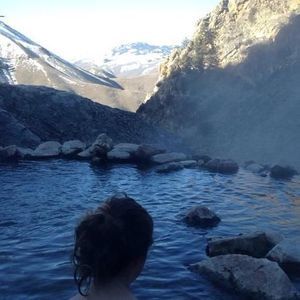 Meet your Posher, Paige